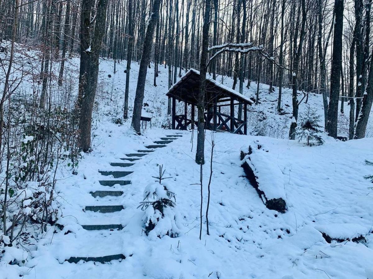 Chalet Vedmezhe Poljana Exteriér fotografie