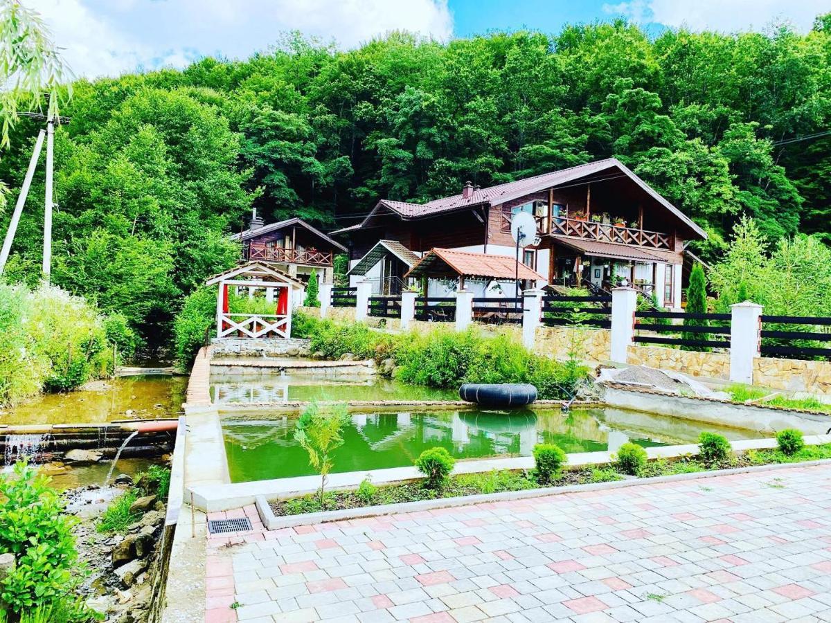 Chalet Vedmezhe Poljana Exteriér fotografie