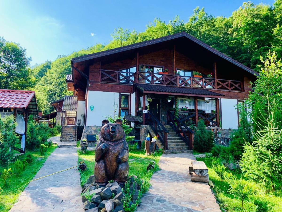 Chalet Vedmezhe Poljana Exteriér fotografie